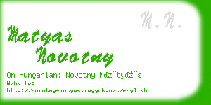 matyas novotny business card